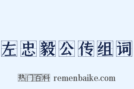 左忠毅公传组词是什么意思的图片